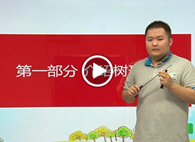 编程数学——树形图