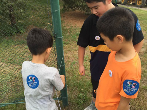 【童程童美】奔跑吧机器人，第二季开始啦