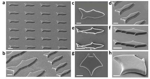 可用于疾病诊断和治疗的3D打印微型机器人