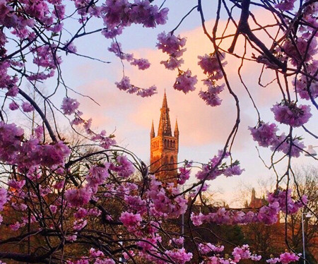 英国：STEAM教育中值得推荐的高校