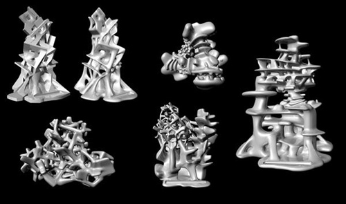 澳洲建筑师要用世界最大3D打印机拯救珊瑚礁