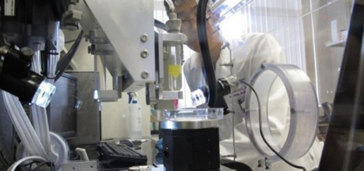 匹兹堡大学用3D打印出可生物降解的金属骨支架