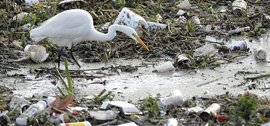 变废为宝的3D打印海洋之椅