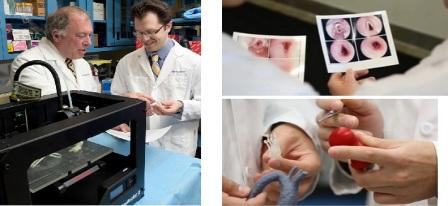 美科学家借助MakerBot3D打印机培养人工气管