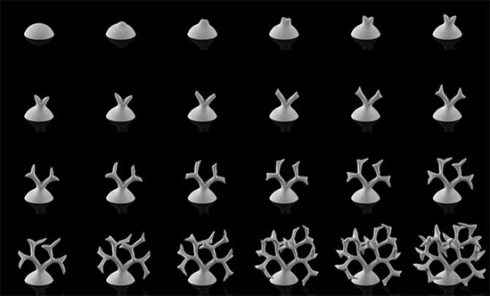 Nervous System模拟花朵生长形状的3D打印珠宝首饰