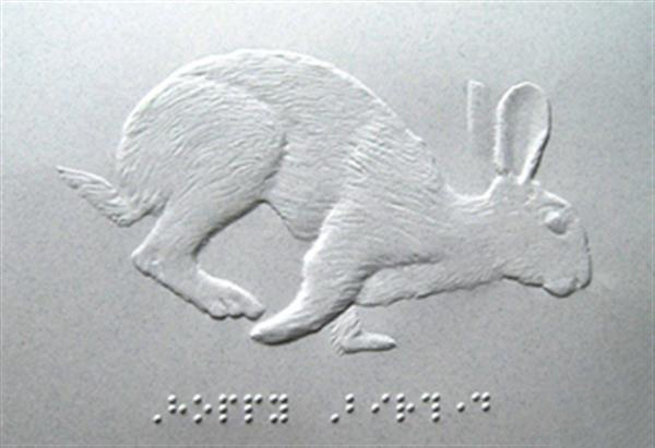 3D打印识字工具帮助视障孩子学习韩文字母