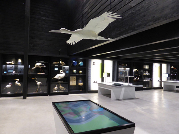 比利时Zwin自然保护区用3D打印鸟迎接游客