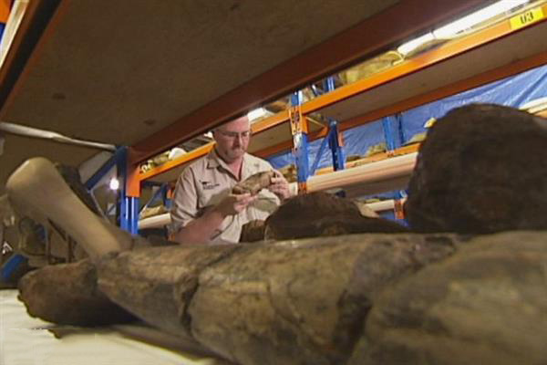 澳洲昆士兰计划3D打印巨型雷龙吸引观光客