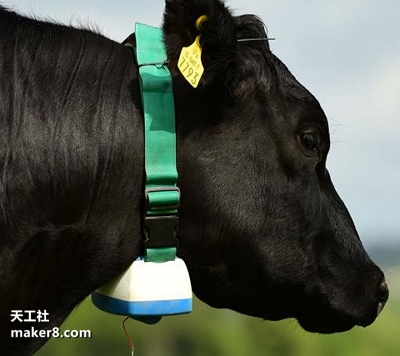 穿戴科技降临牧场：3D打印的奶牛智能项圈