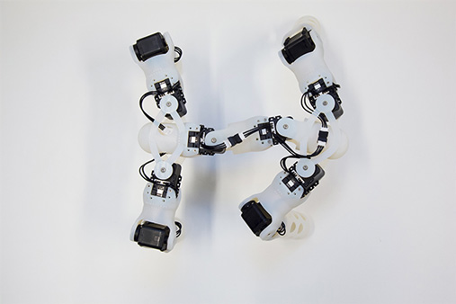 挪威科学家3D打印可自我学习及修复的机器人