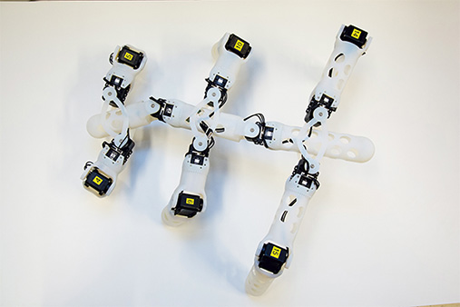 挪威科学家3D打印可自我学习及修复的机器人