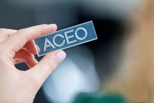 Wacker在美国推出硅胶3D打印技术