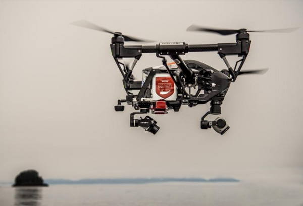 研究人员借3D打印无人机研究制定鲸鱼保护策略