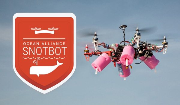 研究人员借3D打印无人机研究制定鲸鱼保护策略