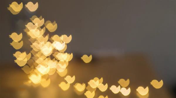 摄影师使用3D打印将1890年的单片转变成相机镜头