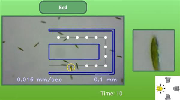 供孩子使用的3D打印智能手机显微镜