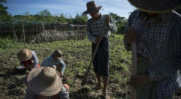 缅甸3D打印企业帮助当地农民获得3D打印工具
