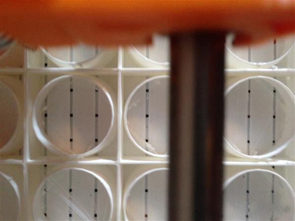 可用于吸收家中或办公室声音的3D打印模块