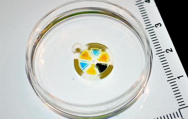 3D打印植入物biobots可以在体内分配药物剂量