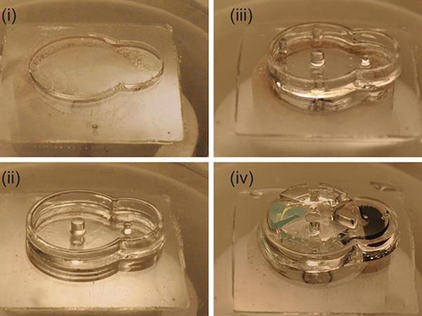 3D打印植入物biobots可以在体内分配药物剂量