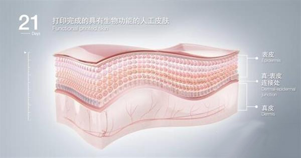 中国Jala公司开发3D打印皮肤测试亚洲市场化妆品