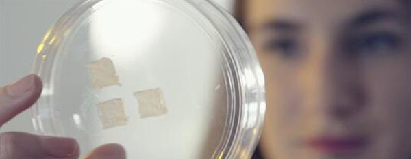 中国Jala公司开发3D打印皮肤测试亚洲市场化妆品