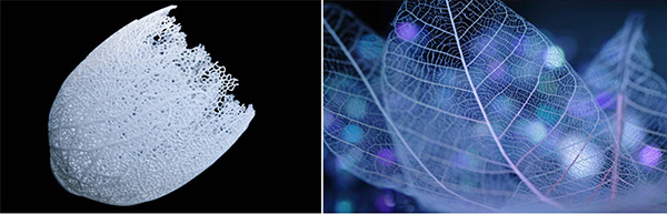 个性化定制3D打印灯罩 美出新高度