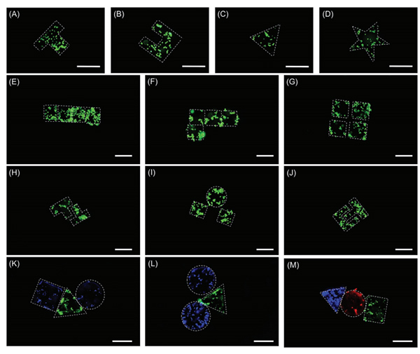 沈阳自动化所在微纳机器人与生物医学交叉领域取得进展