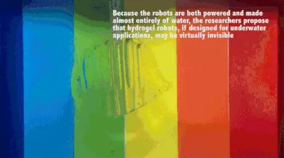 MIT 制造出柔软的机器人 可以在水中隐身遁形