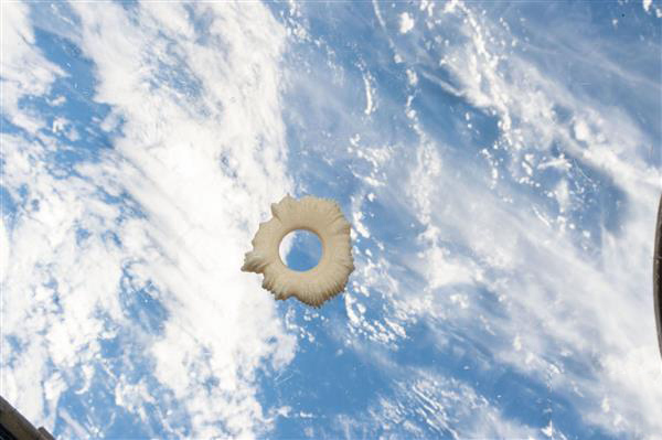 NASA将首件在太空中完成的3D打印艺术作品送入轨道