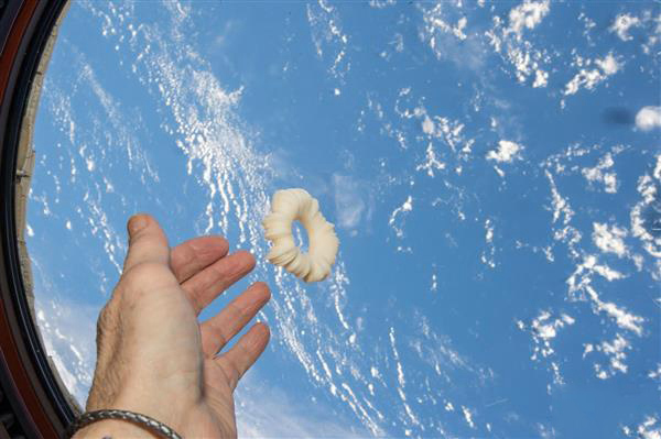 NASA将首件在太空中完成的3D打印艺术作品送入轨道