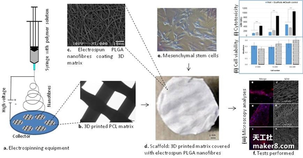 多材料3D打印细胞“支架”推动再生医学发展