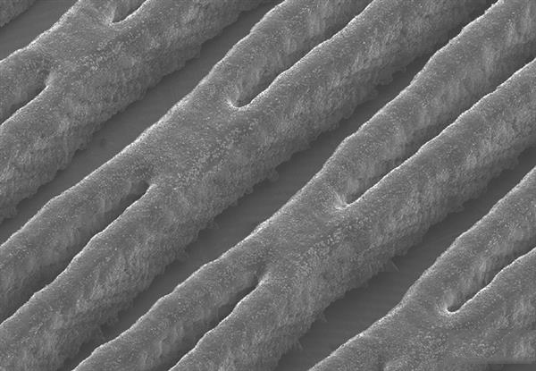 科学家开发出世界首个兼具供能和冷却功能的3D打印液体电池