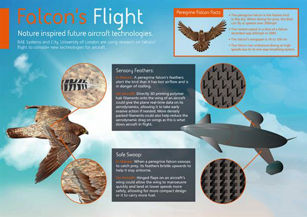BAE系统用受游隼启发的3D打印羽毛改进飞机机械性能