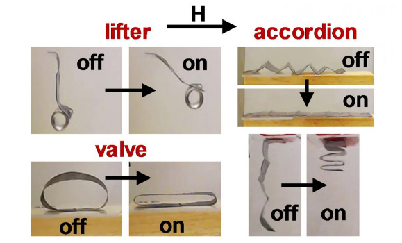 靠电磁场灵活驱动的软机器人