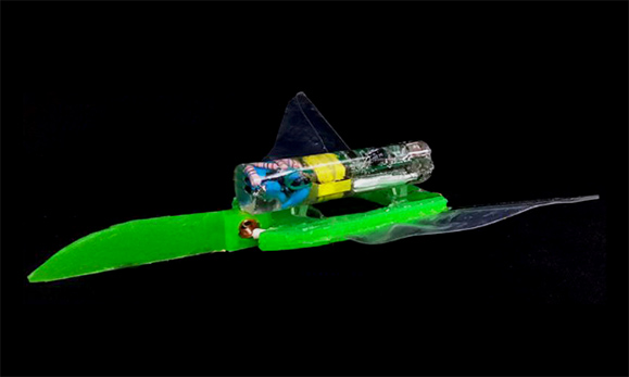 靠电磁场灵活驱动的软机器人