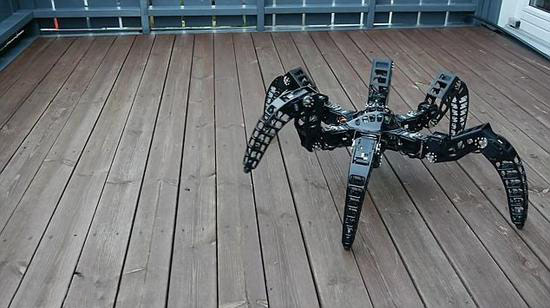 体型轻盈走位灵活 工程师制作狼蛛全地形机器人