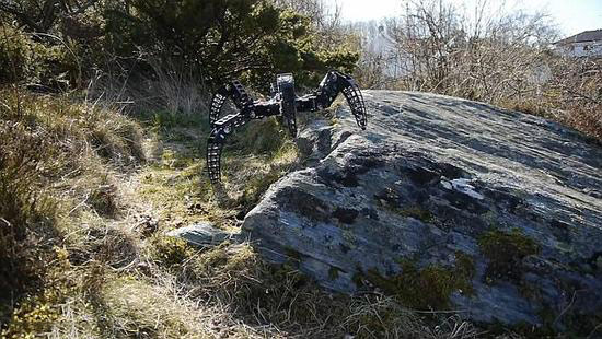 体型轻盈走位灵活 工程师制作狼蛛全地形机器人