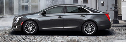 车载人工智能帮助人类改善环境 还能拯救地球