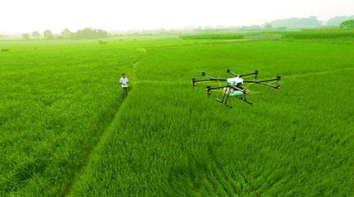 一天作业可达800亩 植保无人机助力农民致富