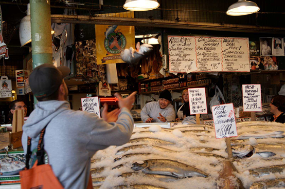 达内童程童美西雅图研学营行程规划大曝光