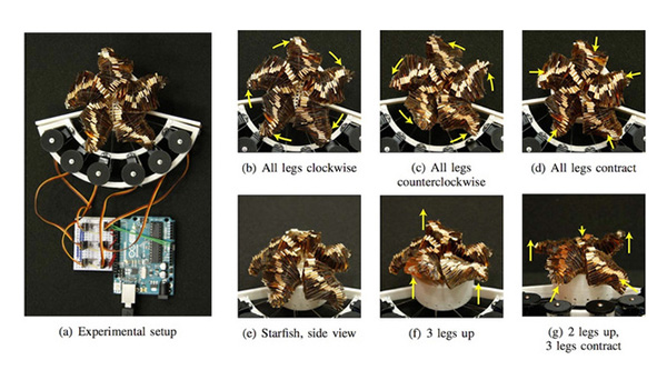 科学家发明可在热水中自动折叠的软体机器人