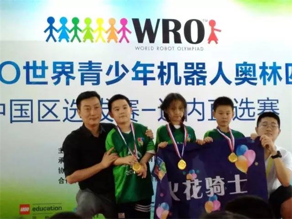 我们见证智能机械的未来 WRO达内直选赛圆满落幕