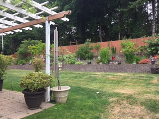 专家老师亲赴营地率先探访 开启西雅图研学时光