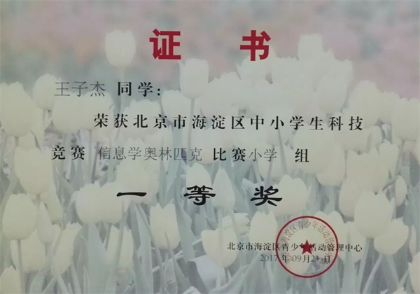 童程童美 | 2017年海淀区信息学奥赛获奖名单