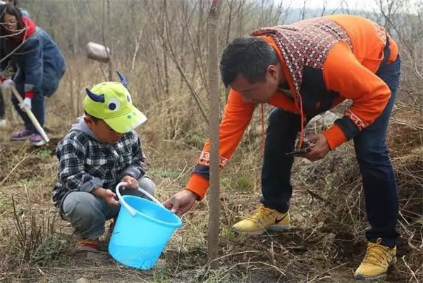 限量抢定 | 北京童程童美精彩植树主题活动招募中！更有免费名额等你来！