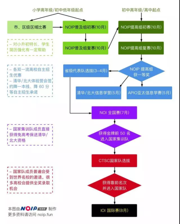 新手如何入门信息学奥赛？金牌教练全面解读！