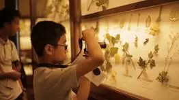 解决“游学焦虑症”，只需这一招