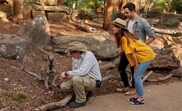 在青春好时光，来一场研学旅行吧！——2019澳洲研学营报名模式已开启