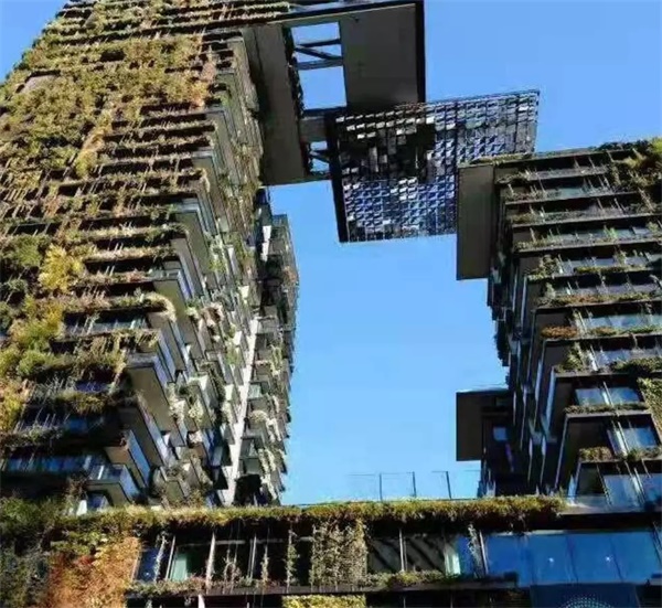 在青春好时光，来一场研学旅行吧！——2019澳洲研学营报名模式已开启